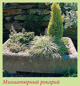 Альпийский сад и рокарий - i_034.jpg