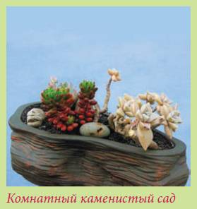 Альпийский сад и рокарий - i_035.jpg