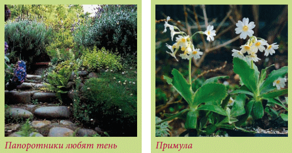 Альпийский сад и рокарий - i_043.png