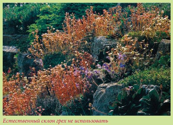 Альпийский сад и рокарий - i_055.jpg