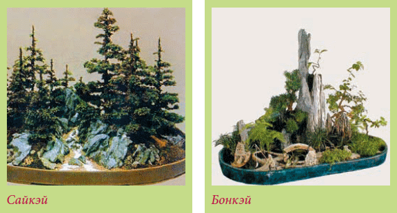 Бонсай - _46.jpg