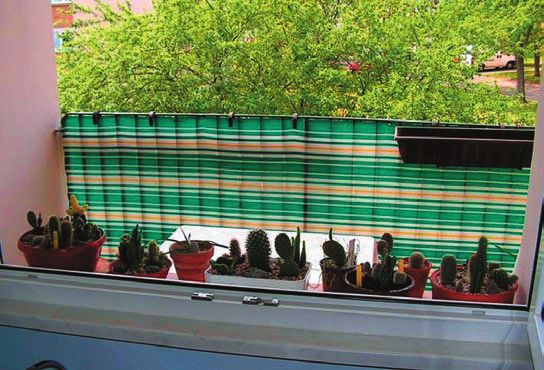 Кактусы - _14.jpg