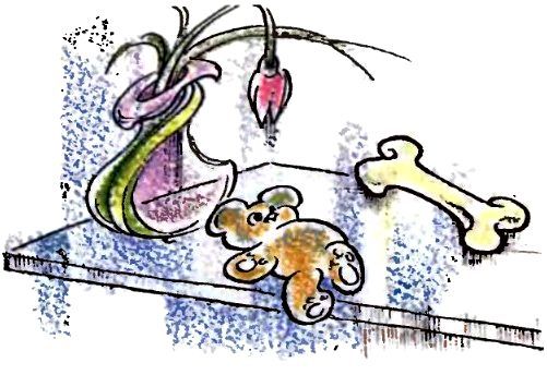 Изумрудный дождь - pic_34.jpg