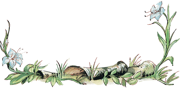 Питер Пэн и Ловцы звёзд - i_003.png