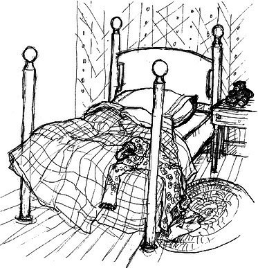 Сара. Книга 1. Пернатые друзья - это навсегда. Новый уровень воплощения желаний - i_001.png