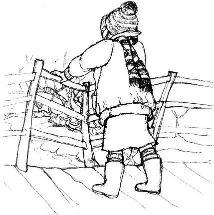 Сара. Книга 1. Пернатые друзья - это навсегда. Новый уровень воплощения желаний - i_005.png