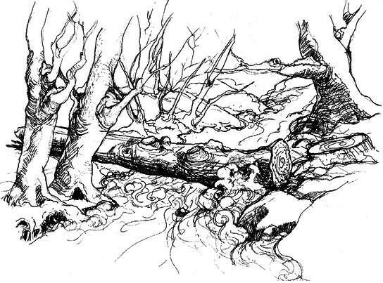 Сара. Книга 1. Пернатые друзья - это навсегда. Новый уровень воплощения желаний - i_006.png