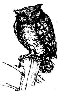 Сара. Книга 1. Пернатые друзья - это навсегда. Новый уровень воплощения желаний - i_007.png