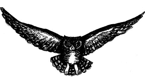 Сара. Книга 1. Пернатые друзья - это навсегда. Новый уровень воплощения желаний - i_009.png