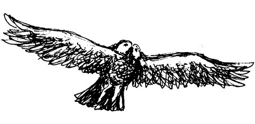 Сара. Книга 1. Пернатые друзья - это навсегда. Новый уровень воплощения желаний - i_015.png