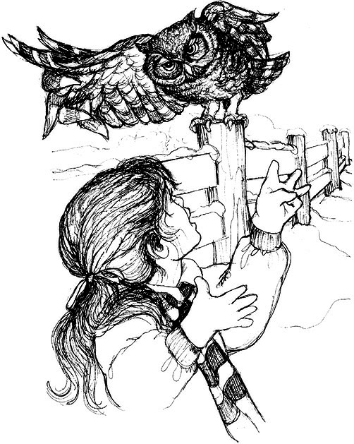 Сара. Книга 1. Пернатые друзья - это навсегда. Новый уровень воплощения желаний - i_021.png