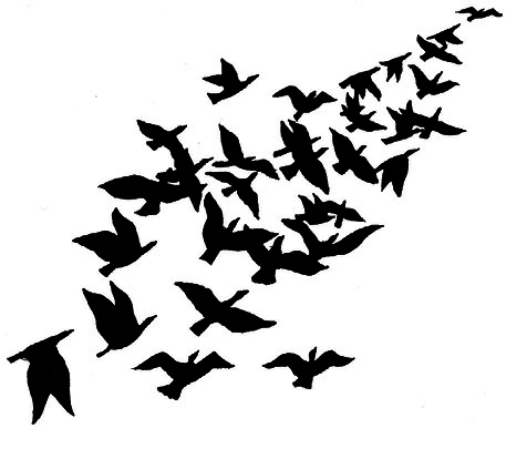 Сара. Книга 1. Пернатые друзья - это навсегда. Новый уровень воплощения желаний - i_030.png