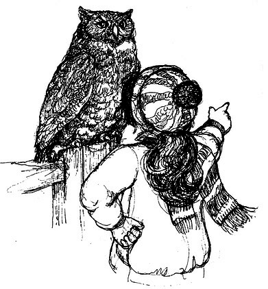 Сара. Книга 1. Пернатые друзья - это навсегда. Новый уровень воплощения желаний - i_034.png