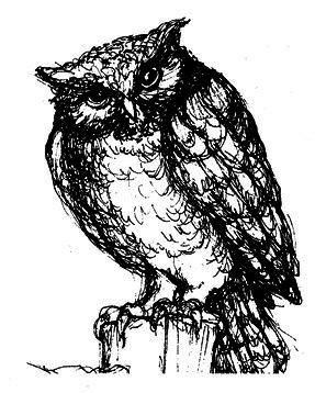 Сара. Книга 1. Пернатые друзья - это навсегда. Новый уровень воплощения желаний - i_037.png