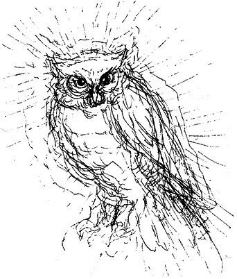 Сара. Книга 1. Пернатые друзья - это навсегда. Новый уровень воплощения желаний - i_045.png