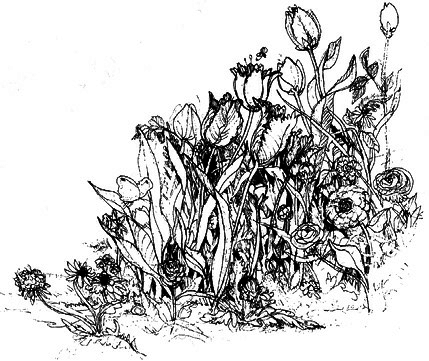 Сара. Книга 1. Пернатые друзья - это навсегда. Новый уровень воплощения желаний - i_046.png