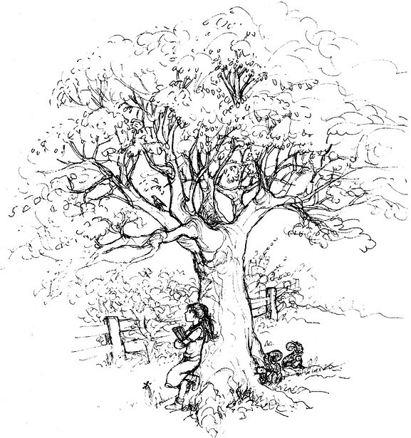 Сара. Книга 1. Пернатые друзья - это навсегда. Новый уровень воплощения желаний - i_052.png