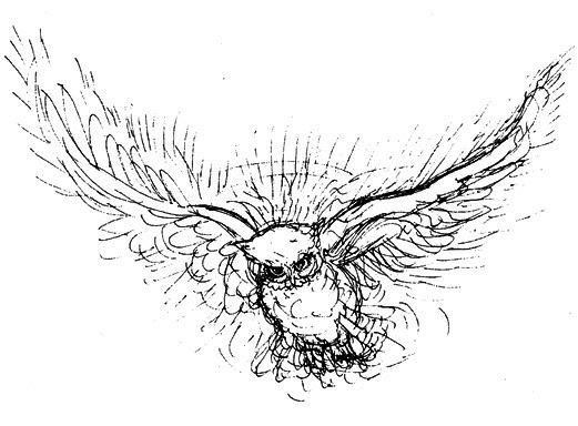 Сара. Книга 1. Пернатые друзья - это навсегда. Новый уровень воплощения желаний - i_053.png