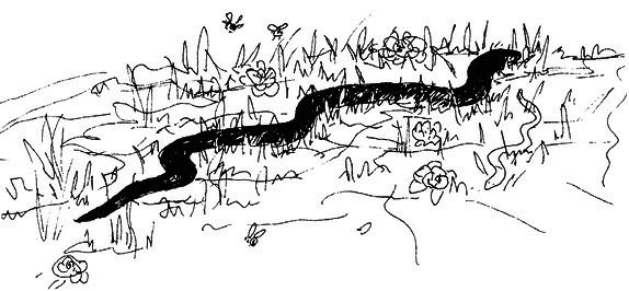 Сара. Книга 2. Бескрылые друзья Соломона. Приключения в мире мудрости. Путь к счастью - i_040.png