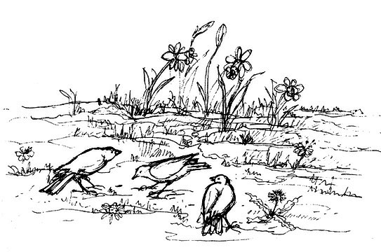 Сара. Книга 2. Бескрылые друзья Соломона. Приключения в мире мудрости. Путь к счастью - i_051.png