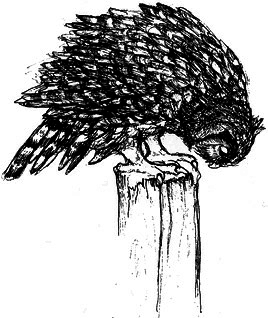 Сара. Книга 3. Говорящий филин стоит тысячи слов. Как пережить приключения, ничем не рискуя - i_011.png