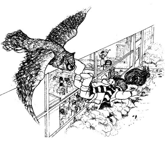 Сара. Книга 3. Говорящий филин стоит тысячи слов. Как пережить приключения, ничем не рискуя - i_017.png