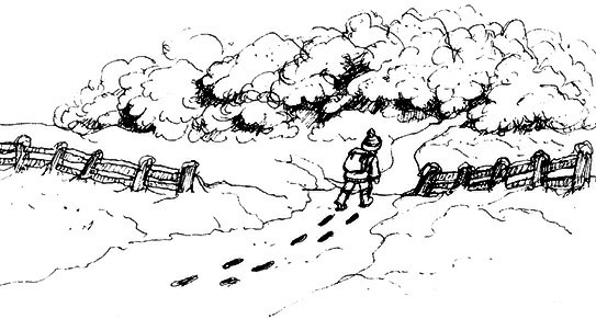 Сара. Книга 3. Говорящий филин стоит тысячи слов. Как пережить приключения, ничем не рискуя - i_033.png