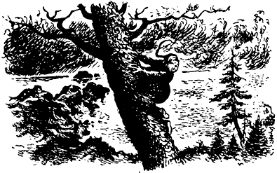 Глупый богач - pic_1.png