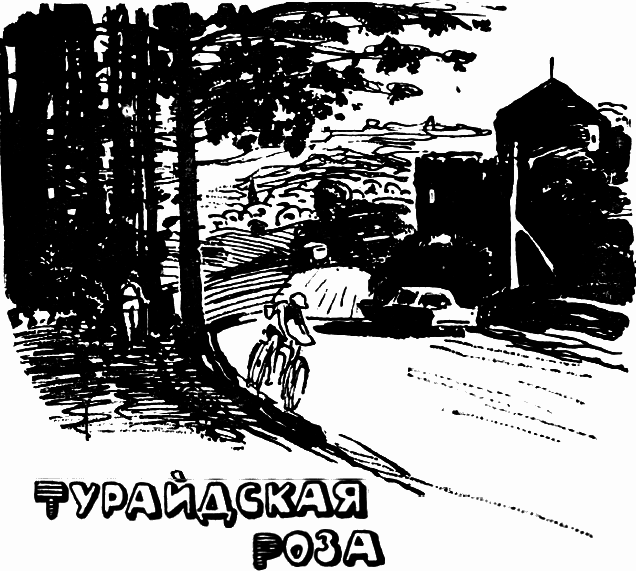 Город Золотого Петушка - i_007.png