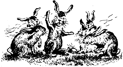 Хвастун - Hvastun@ill1.png