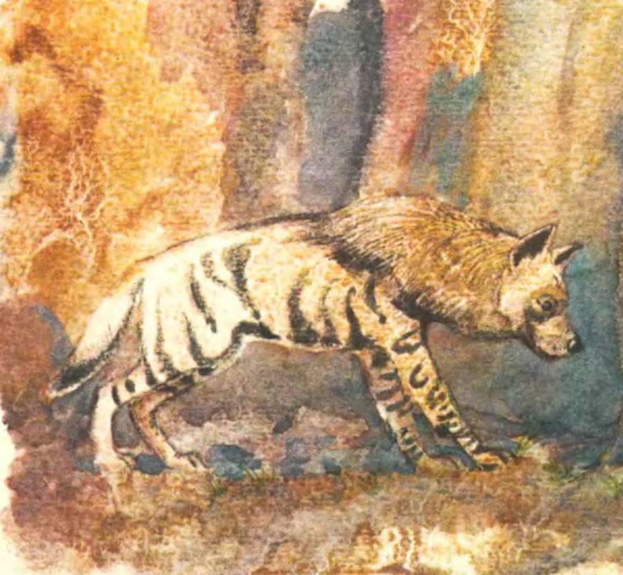 В заповеднике - _10.jpg