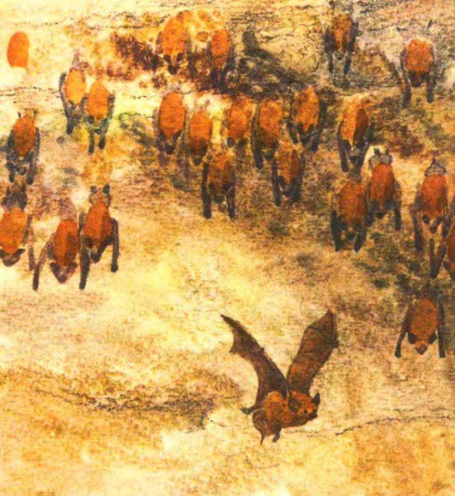 В заповеднике - _13.jpg