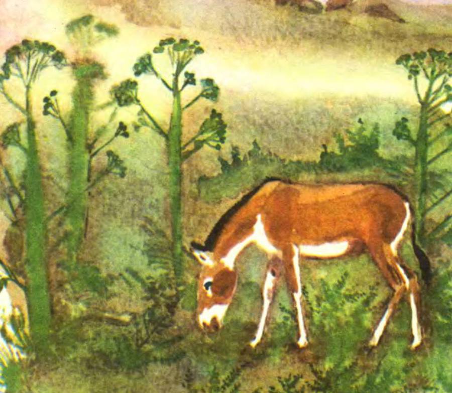 В заповеднике - _11.jpg