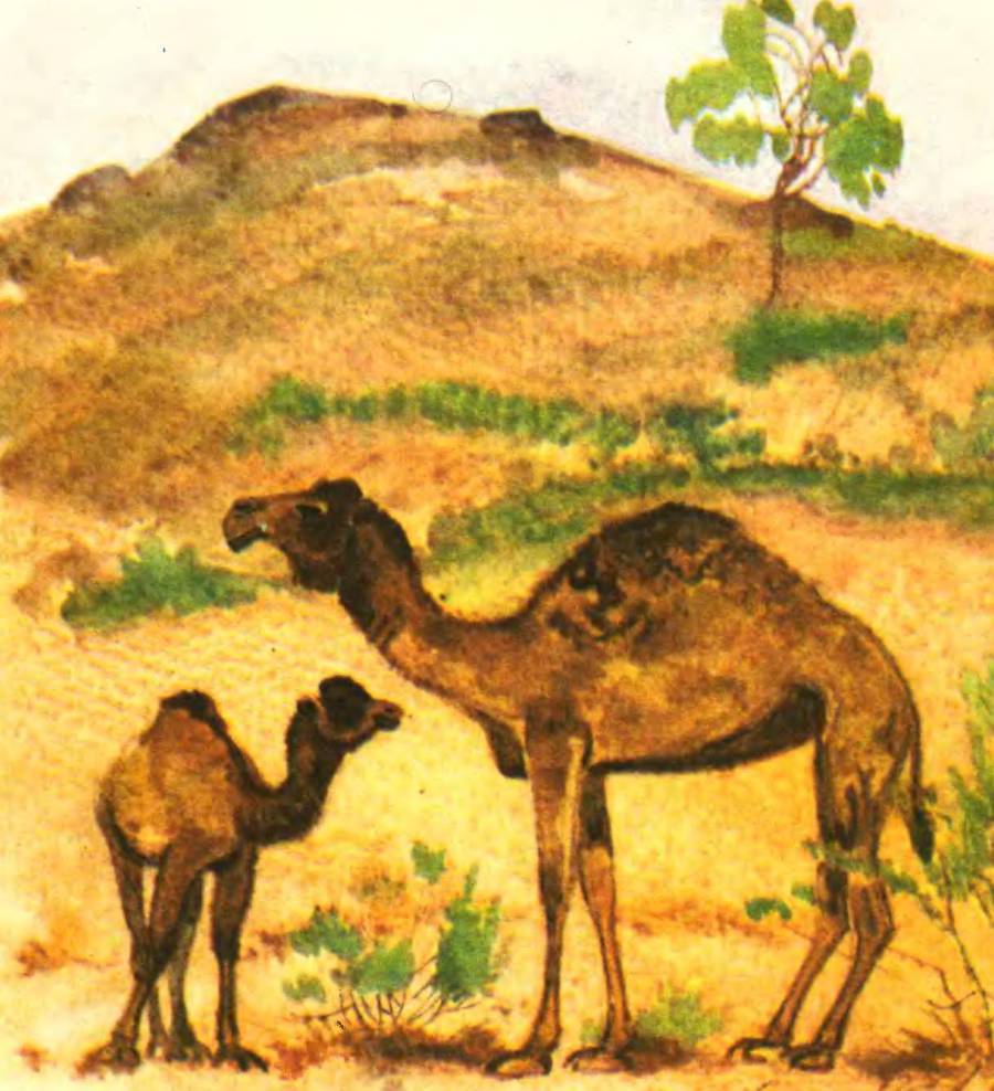 В заповеднике - _4.jpg