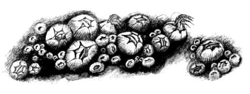 Обитаемый остров. Рассказы - pic_11.jpg