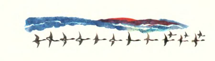 Про оленей - _16.jpg