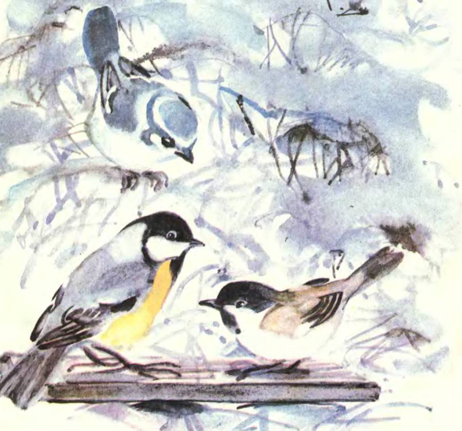 Про птиц - _12.jpg