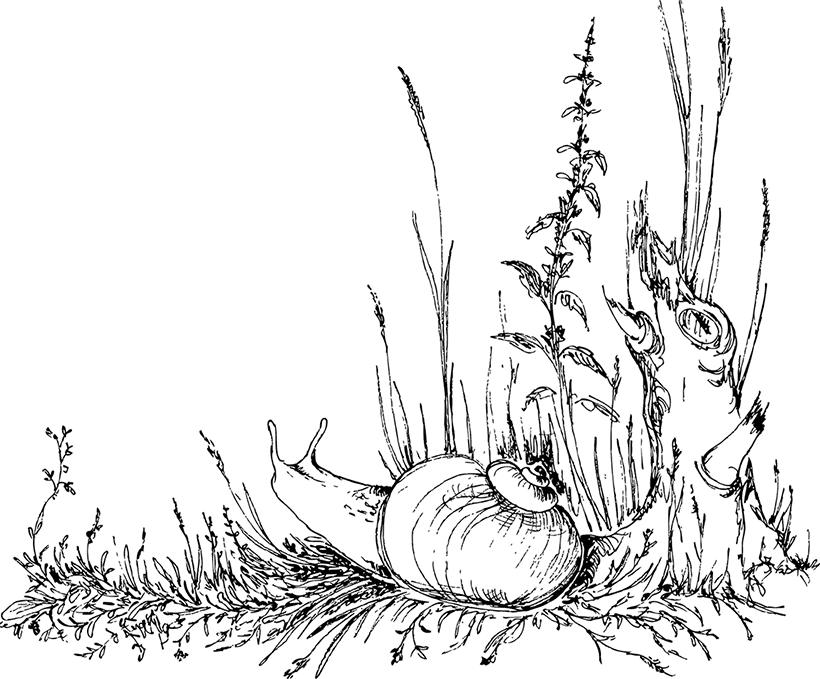 Умный дикобраз. С вопросами и ответами для почемучек - i_006.png