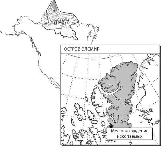 Внутренняя рыба - i_008.jpg