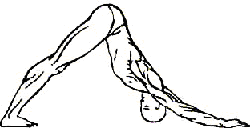 Око возрождения - img15