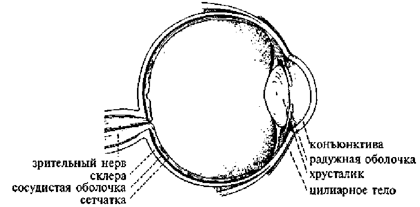 Научите себя думать! - img_13.png