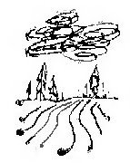 Разнотравье: повести - i_008.jpg