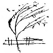 Разнотравье: повести - i_020.jpg