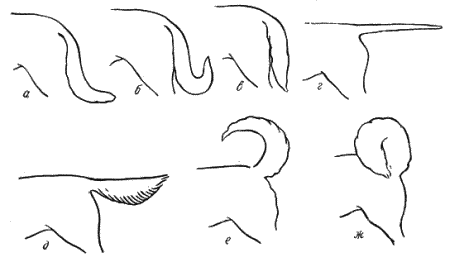 Справочная книга по собаководству - i_008.png