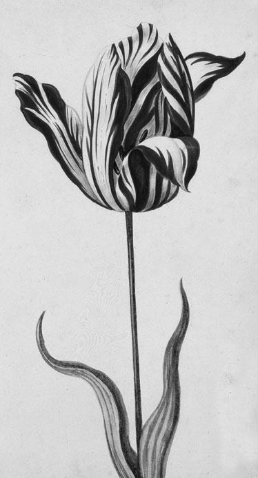 100 великих афер - i_001.jpg