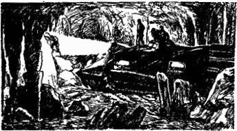 Дороги вглубь (с иллюстрациями Павлинова П.Я.) - i_003.jpg