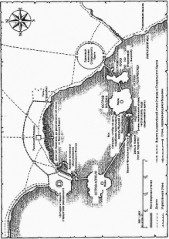  Пирс Тамора - Книга Браяра — Исцеление в Лозе
