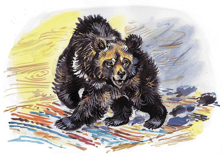 Гусиный остров (сборник) - i_006.png