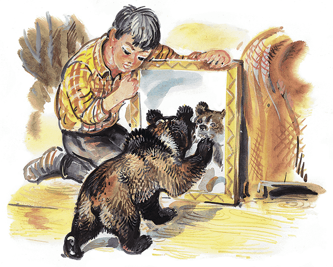 Гусиный остров (сборник) - i_008.png