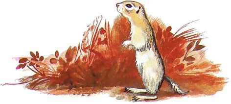 Семейный экипаж - i_012.jpg